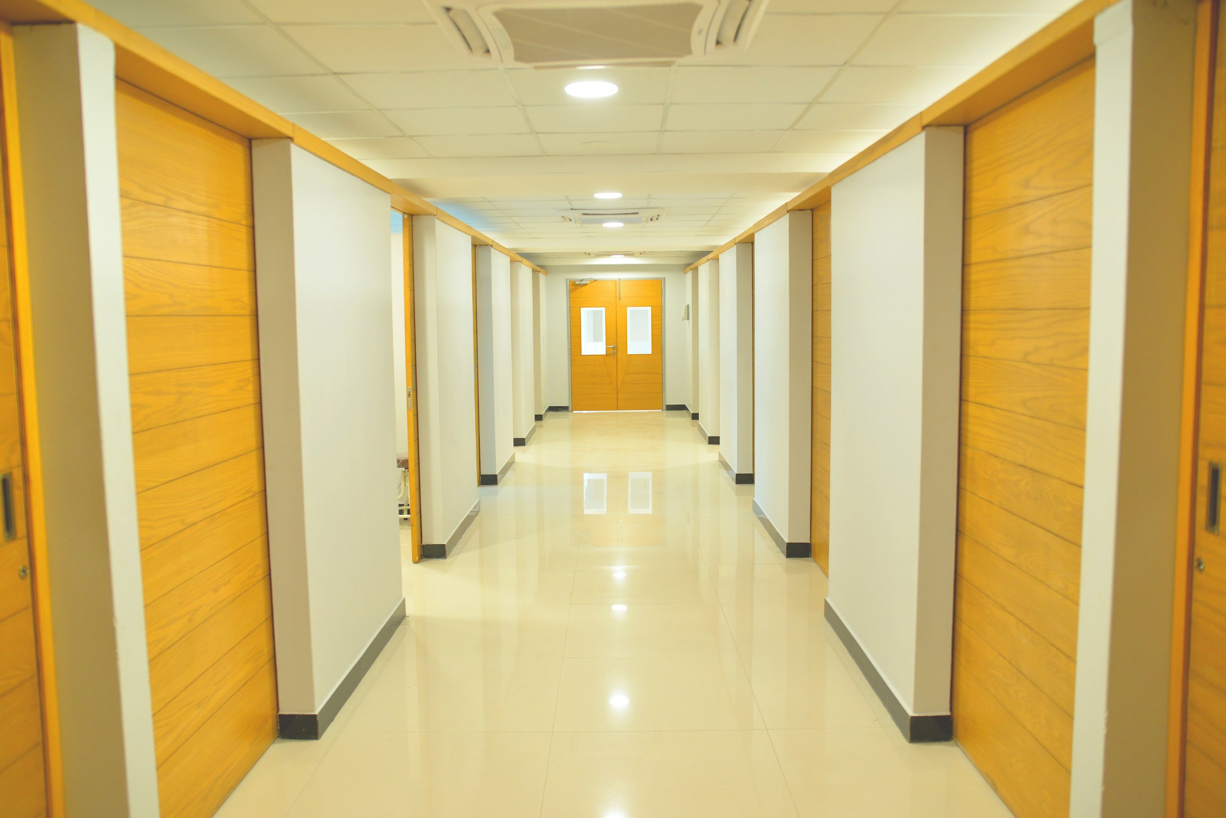 Stunning contemporary interior hallway featuring premium interior doors and lighting